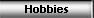 Hobbies